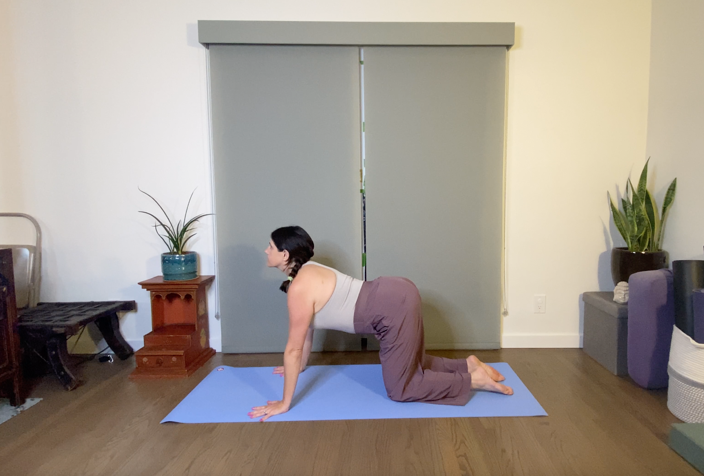 5 Energizing yoga poses