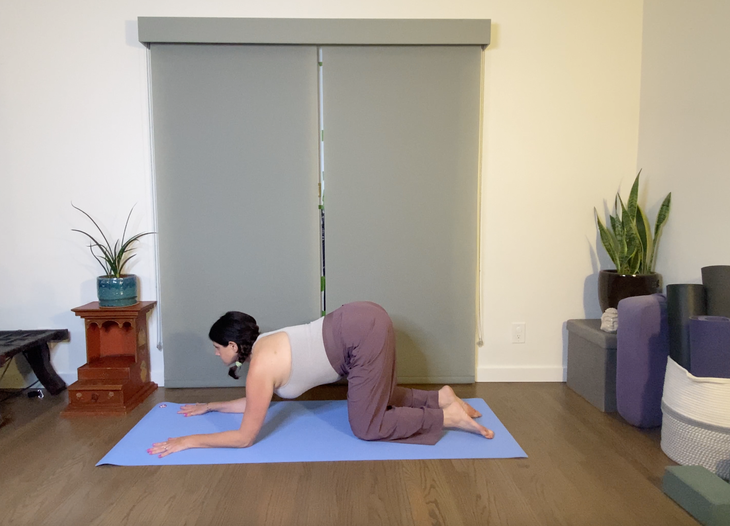 A dark-haired woman practices Cow Pose with her forearms on the floor