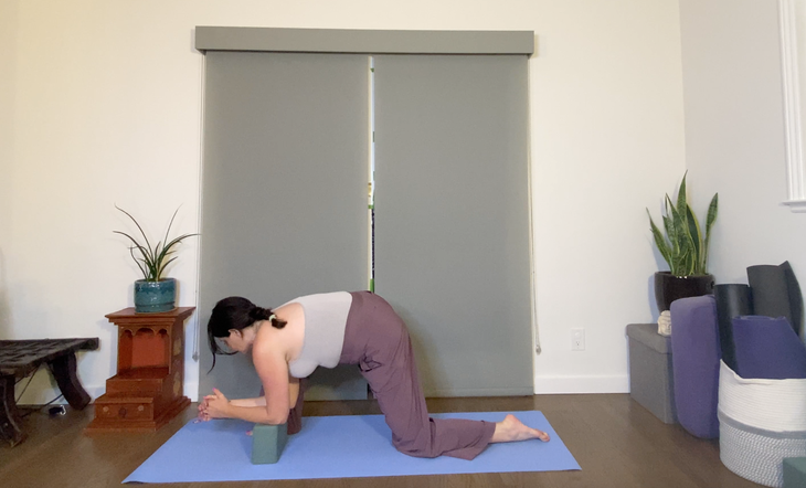 A woman practices a low lunge variation with her forearm on a block.