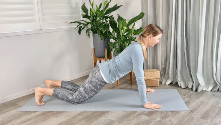 17 Plank Pose Variations to Build Strength and Stability