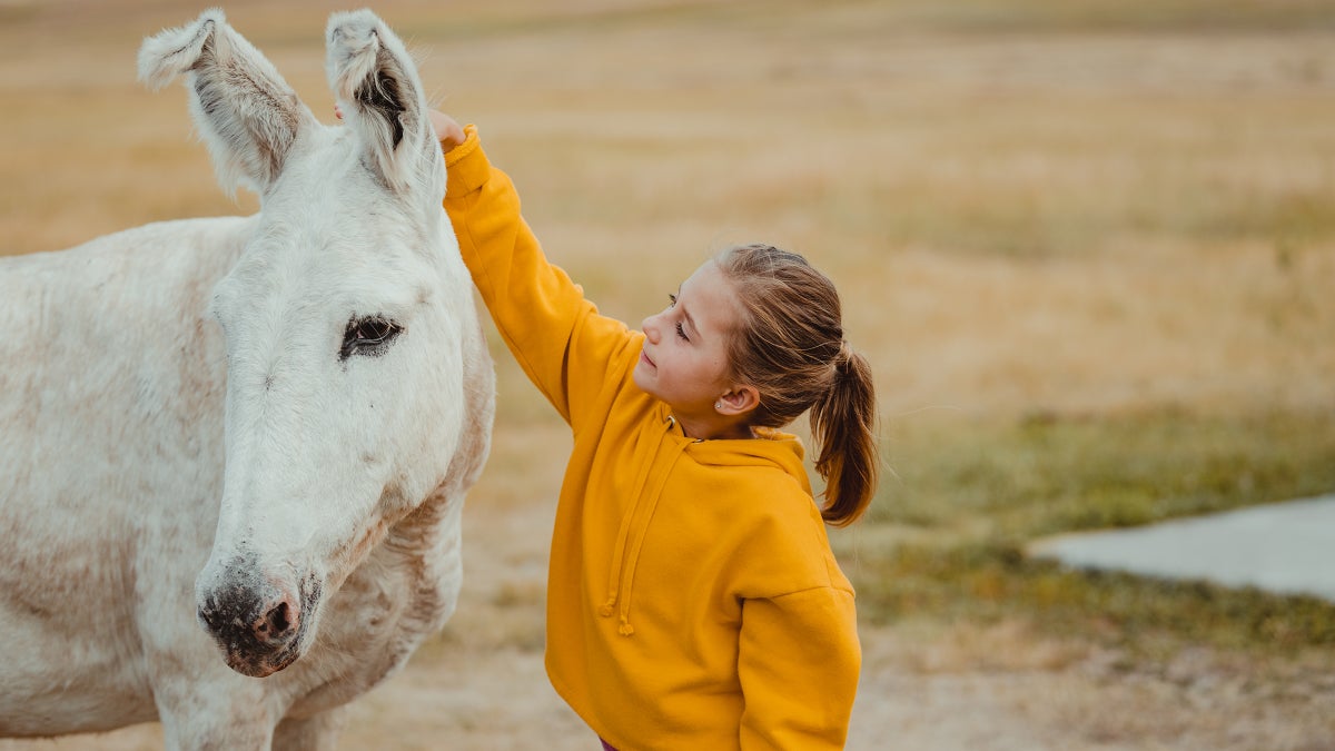 The Family-Friendly Adventure Destination No One Knows About (Yet)