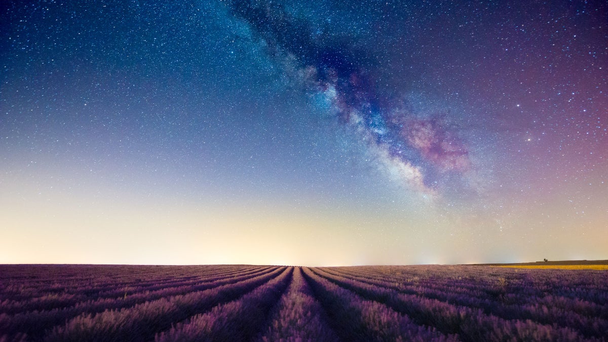 The 6 Best Astrology Apps, According to Our Editors