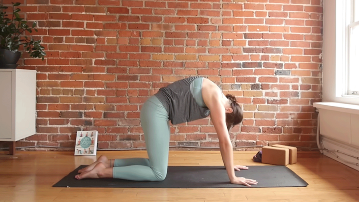 Kassandra Reinhardt on a yoga mat teaching Cat Pose