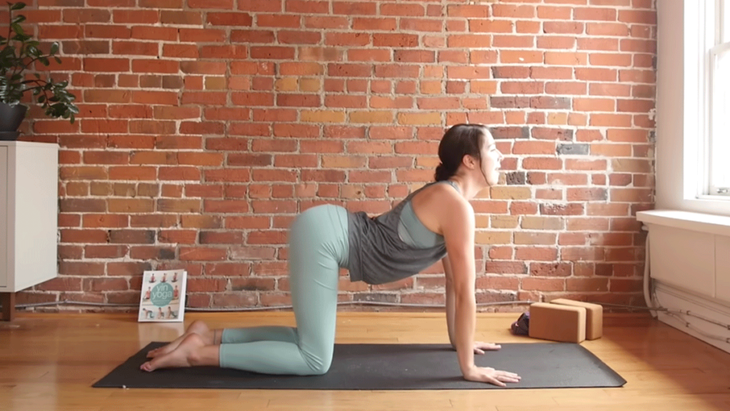 Cassandra Reinhardt teaches cow pose in yoga