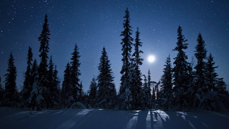 Full moon over snowy ground and trees