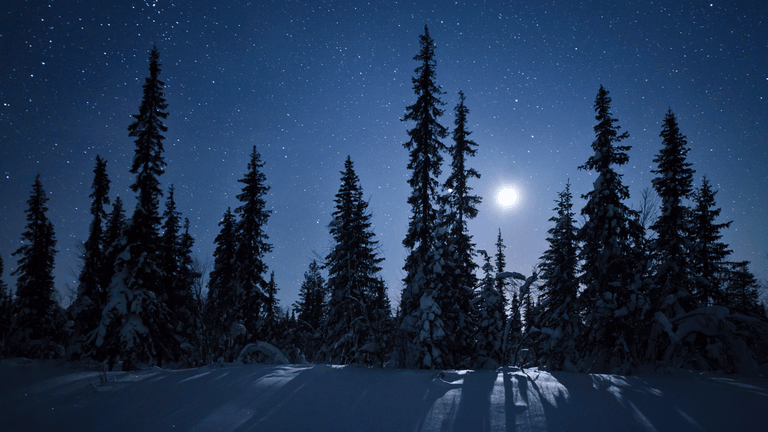 Full Moon Names, According To Indigenous Cultures