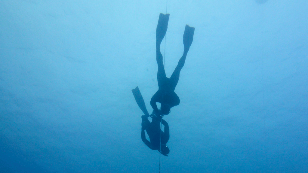 Why I Think of Free Diving as Underwater Yoga