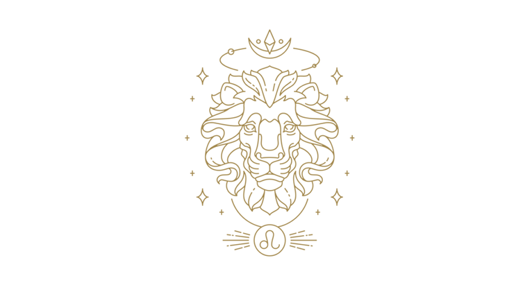 Leo zodiac illustration