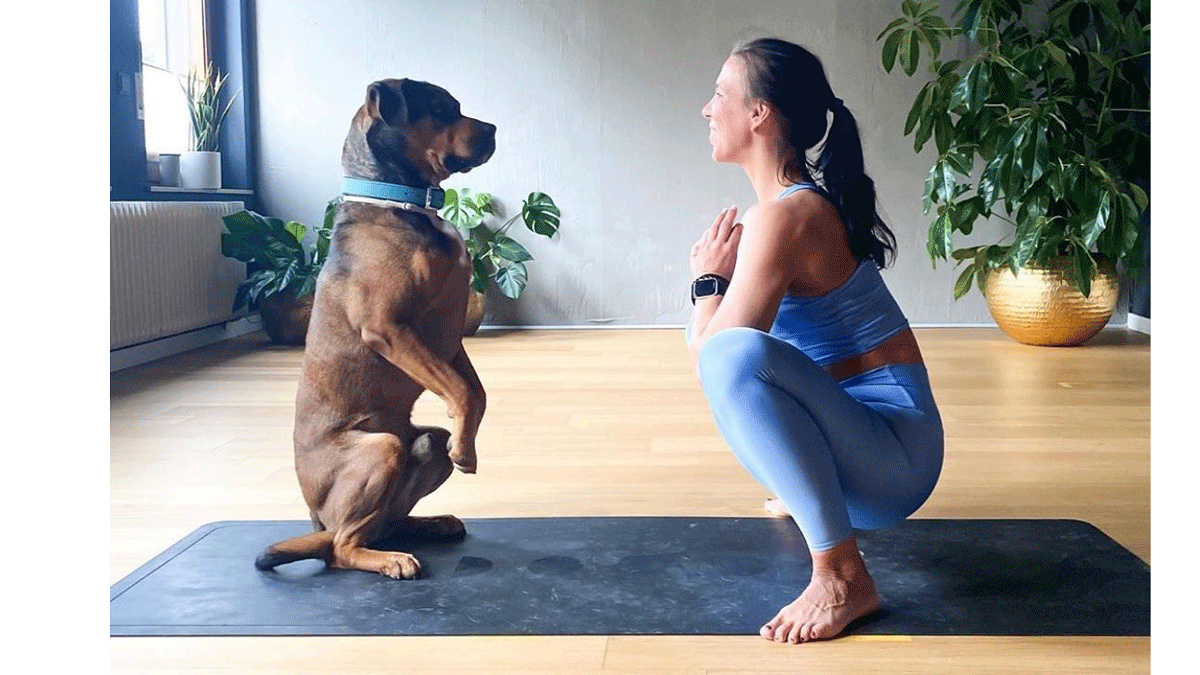 The Reason Why Your Dog Always Wants to Practice Yoga With You, According to Experts