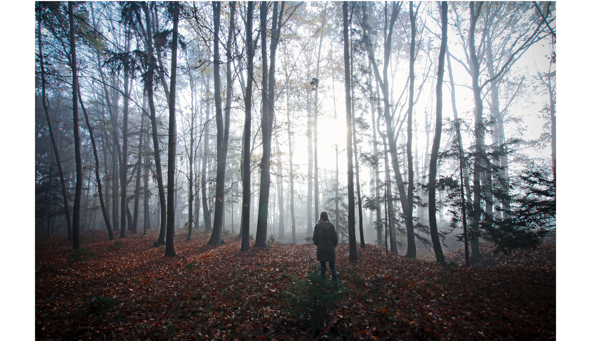 Weekly Astrology Forecast, October 15-21: Updating Your Perception of Yourself