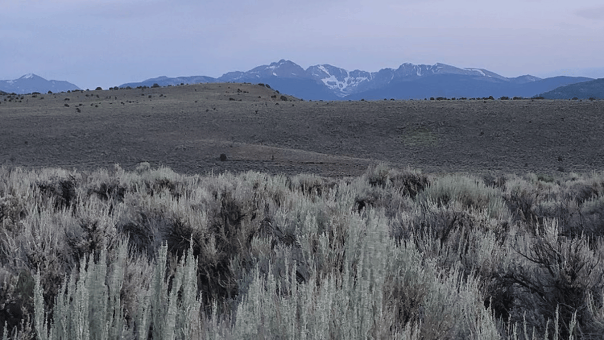 How Outdoor Yoga Completely Changed the Way I Practice