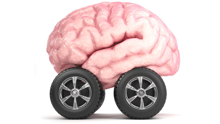 Illustration of a pink brain sitting on four car tires as if it was a small car.