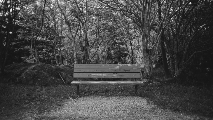 A park bench in the woods. A quiet space ideal for meditation.