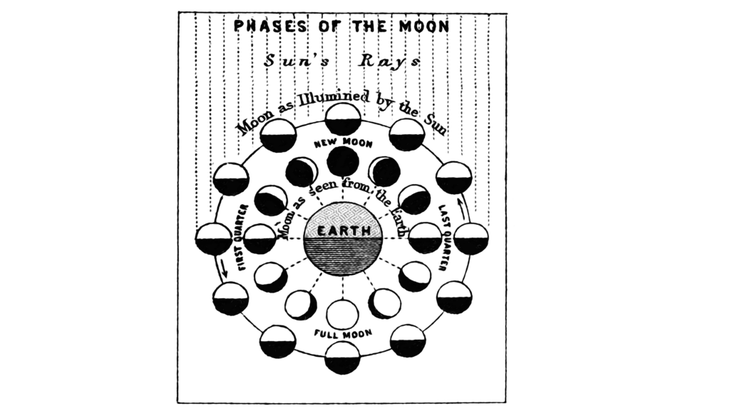 Weekly Astrology Forecast February 4 10 2024 New Moon Getty 1024x576 ?width=730