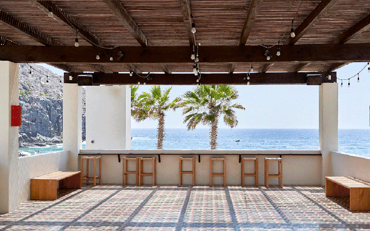 View of palm trees and ocean from the Hotel San Cristóbal.