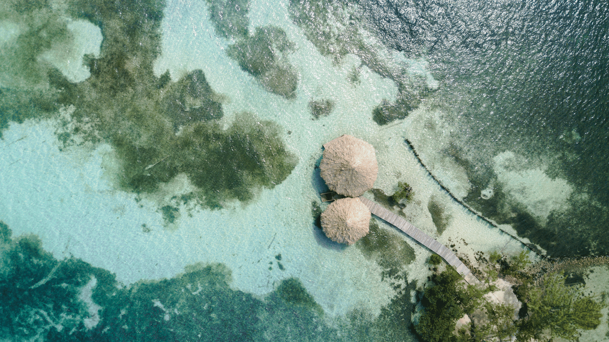 Aerial view of Thatch Caye Resort next to blue ocean water.