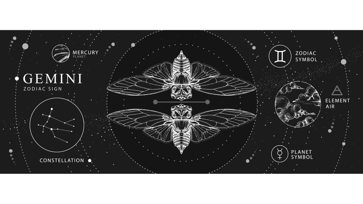 15-Minute Yoga Practice to Align With the Creative and Intellectual Sign of Gemini