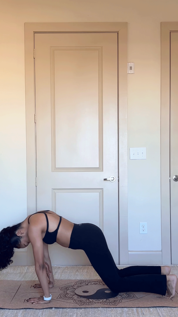 Woman practicing moving from Plank to Downward-Facing Dog on her yoga mat while doing 5-minute morning stretches