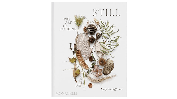 Book cover of Still by Mary Jo Hoffman