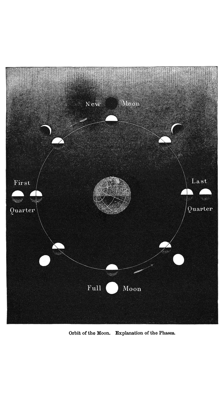 Vintage engraving or illustration of the phases of the Moon, including the new and full Moon, in relation to the Sun and Earth