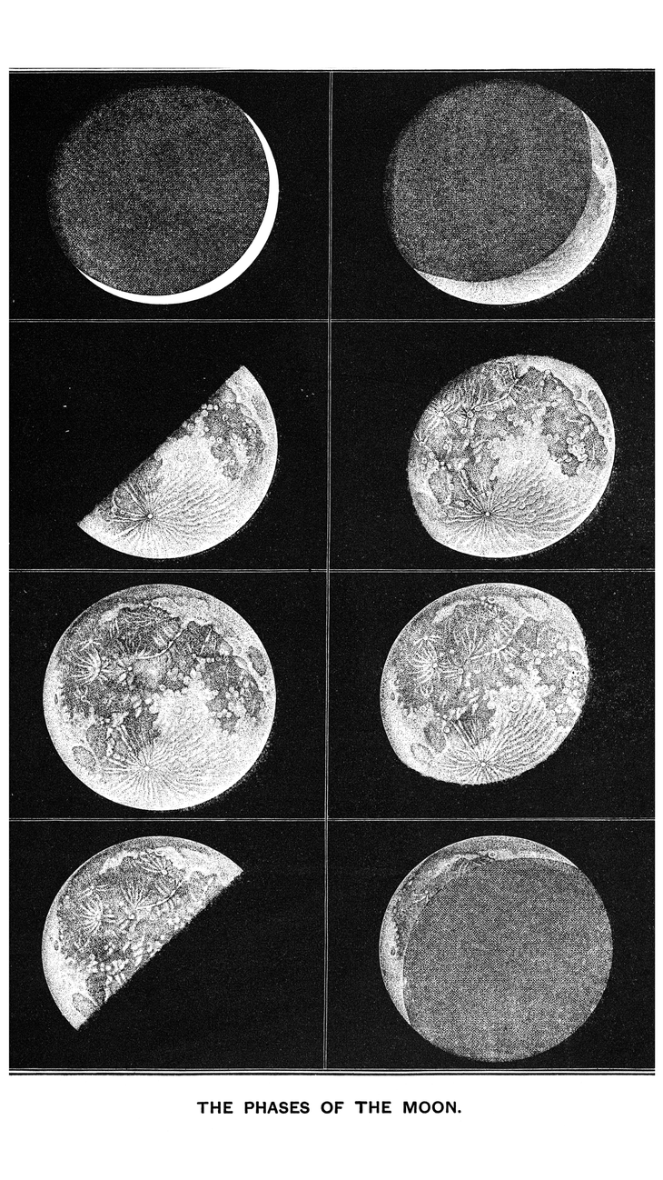 A intage lithograph of the phases of the moon, including the new and full Moon