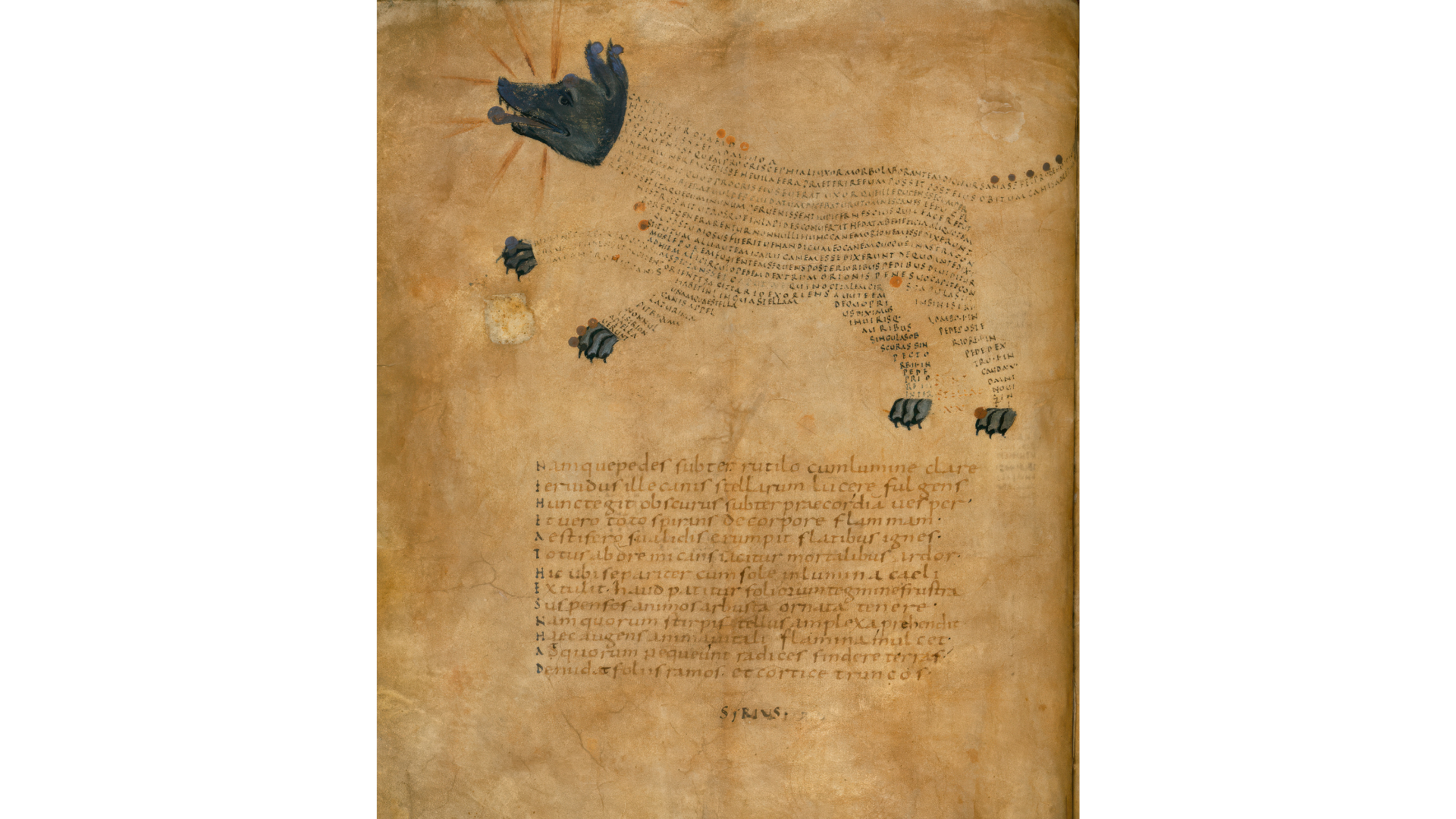 Illustration of the constellation Canis Major, which includes the fixed star Sirius, circa 800 AD
