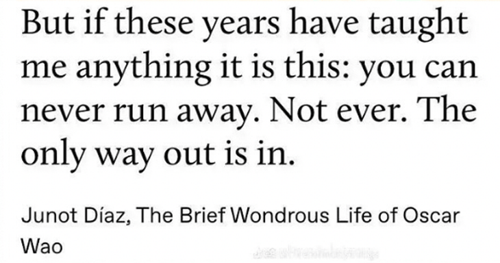 Quote from Junot Diaz on needing to do the internal work as it relates to the weekly horoscope