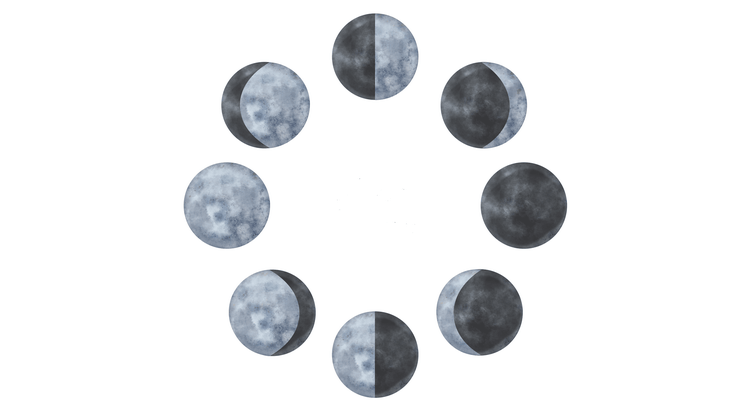 Illustration of the cycles of the Moon