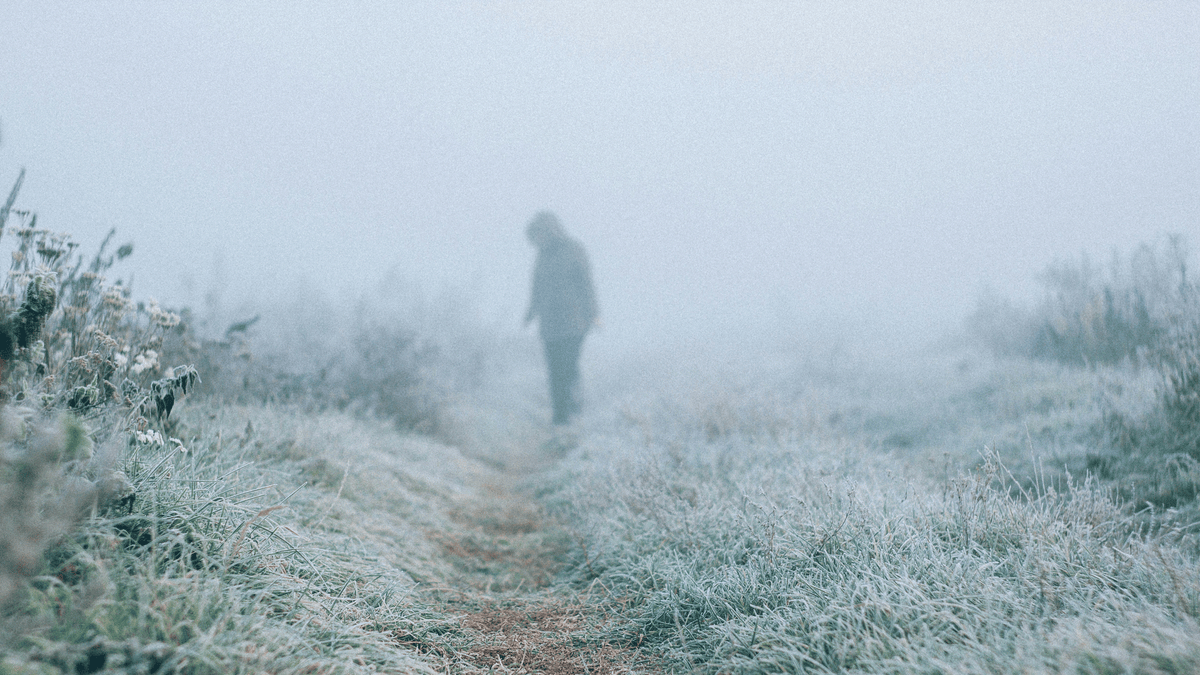 What the Final Mercury Retrograde of 2024 Means for You, According to Your Zodiac Sign