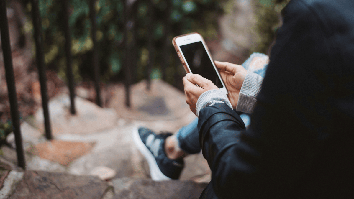 Our 15 Most Read, Shared, Saved, and Otherwise Clicked On Articles of 2024