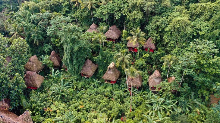 Red-painted tree houses on stilts in a dense forest at a yoga practice site in the tropics.