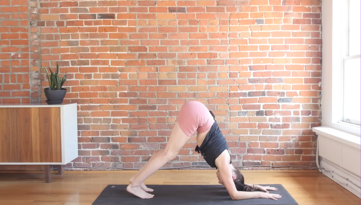 Woman in Dolphin Pose