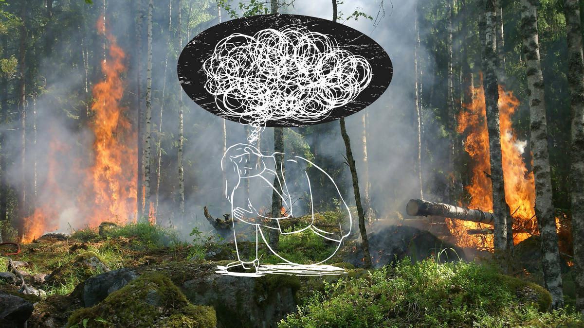 Your Anxiety About the Planet? That's Ecological Grief. Here's How to Cope.