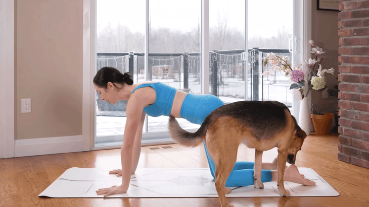 woman and dog on a yoga mat