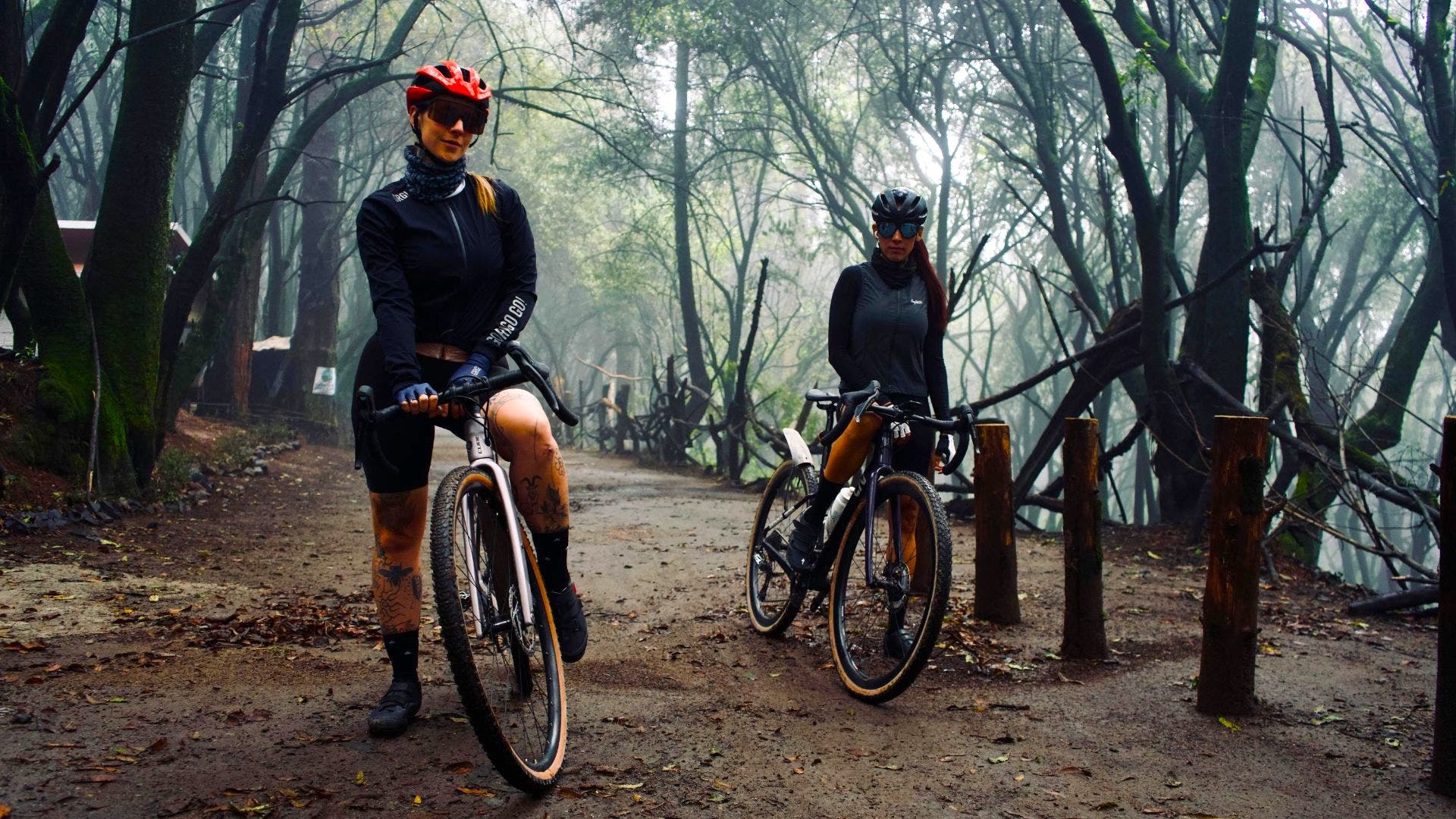 Two mountain bikers on a trail in the woods