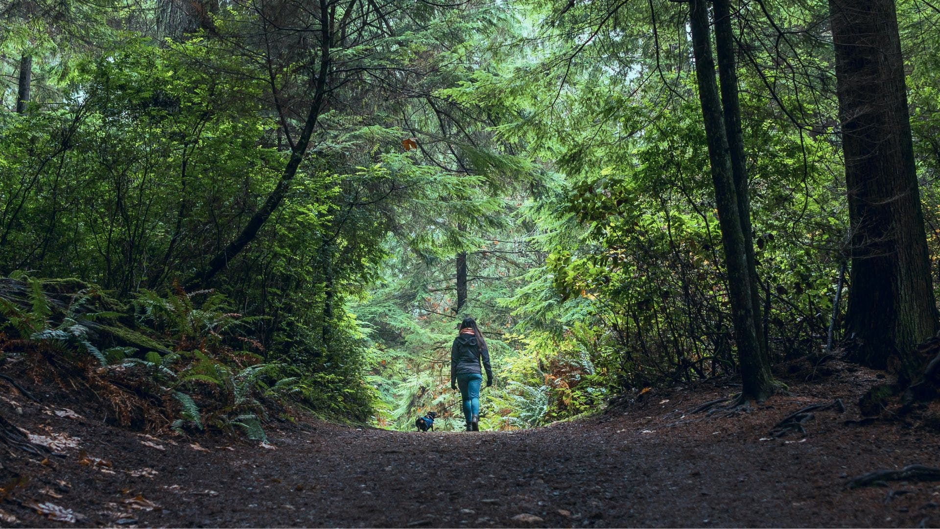 Woman on a hike while exercising for her dosha