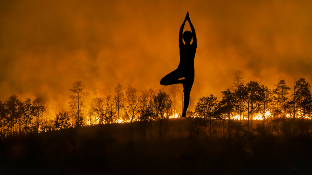 How These Yoga Studios Showed Up After Natural Disasters