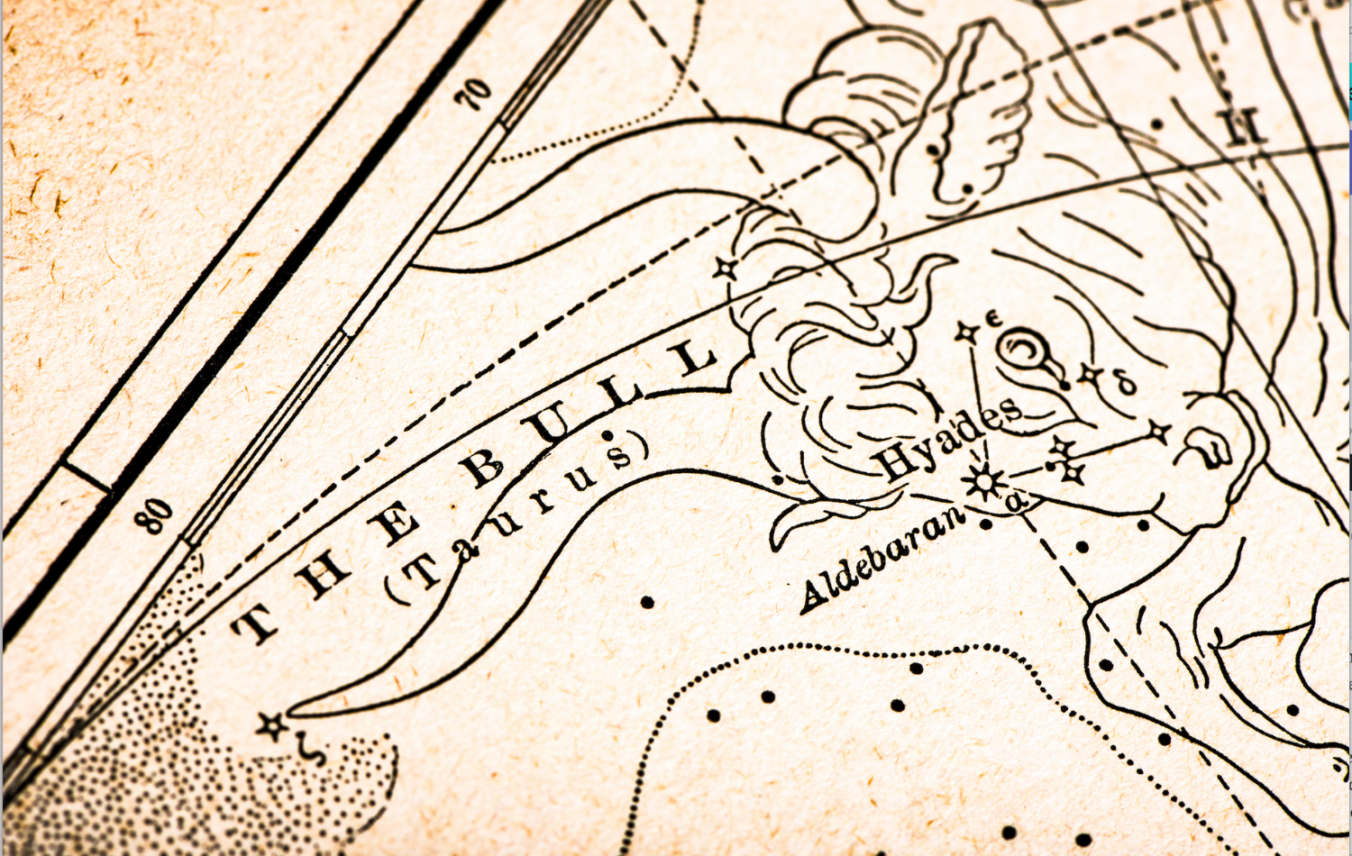 Vintage illustration or lithograph of the constellation Taurus and its astrological symbol