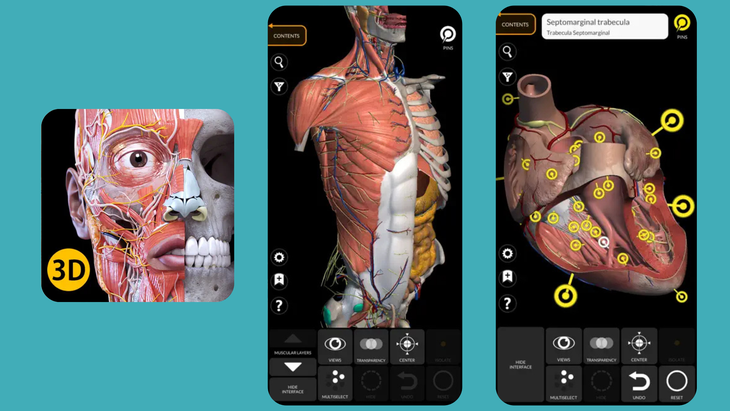 anatomy apps: screen grabs from Anatomy 3D Atlas