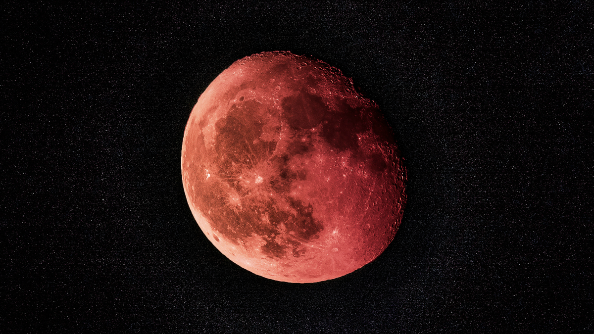 Is Your Menstrual Cycle Actually Connected to the Moon?