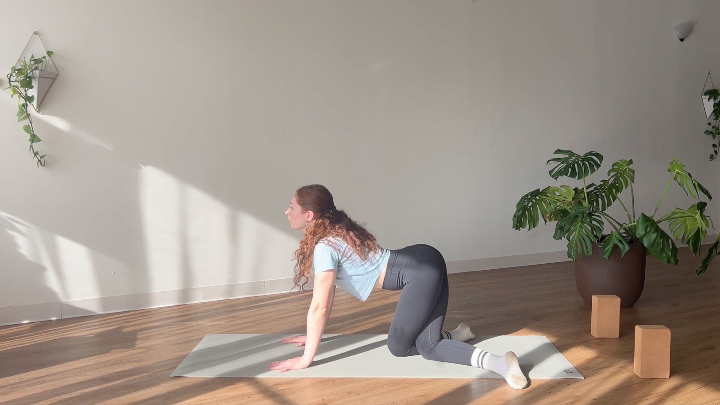 Cat + Cow pose with Cow Face Legs