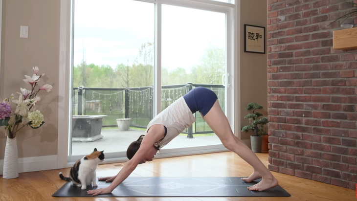 woman in downward facing dog pose on yoga mat in home with cat sitting on mat