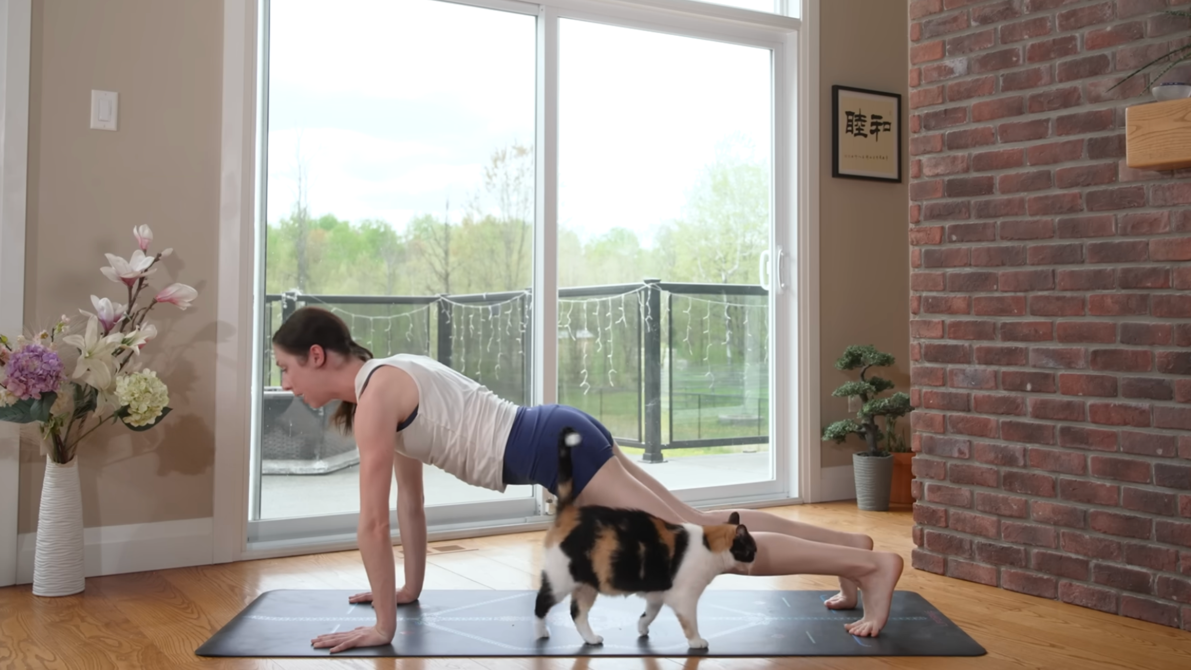 woman moving into plank pose on yoga mat with cat walking in front of her in home