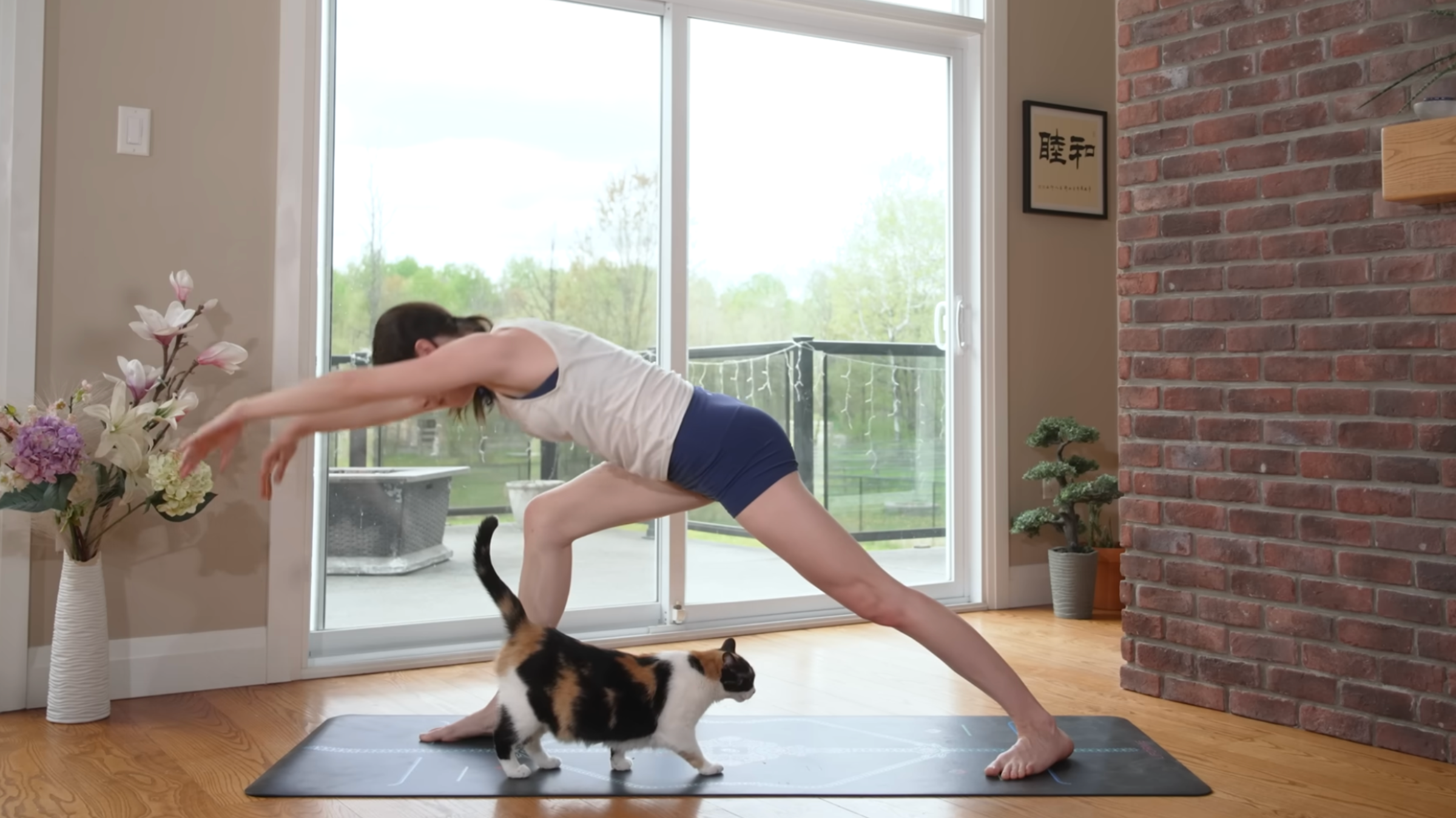 woman leaning forward with legs in warrior pose and arms forward as she flows through yoga practice on yoga mat in home with cat walking in front of her