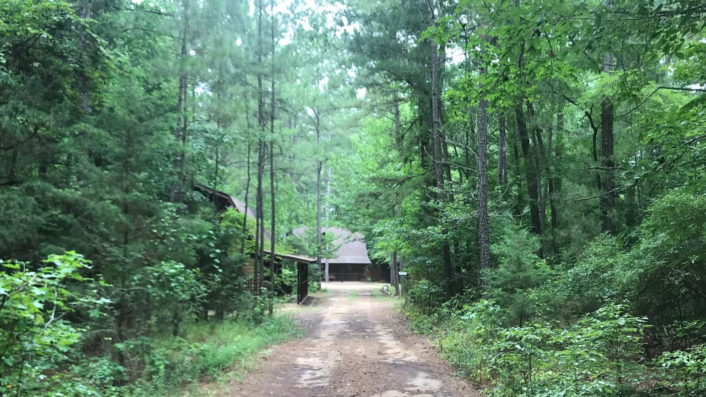 wooden building yoga retreat center at the end of a dirt road surrounded by tall Eastern Texas pine trees
