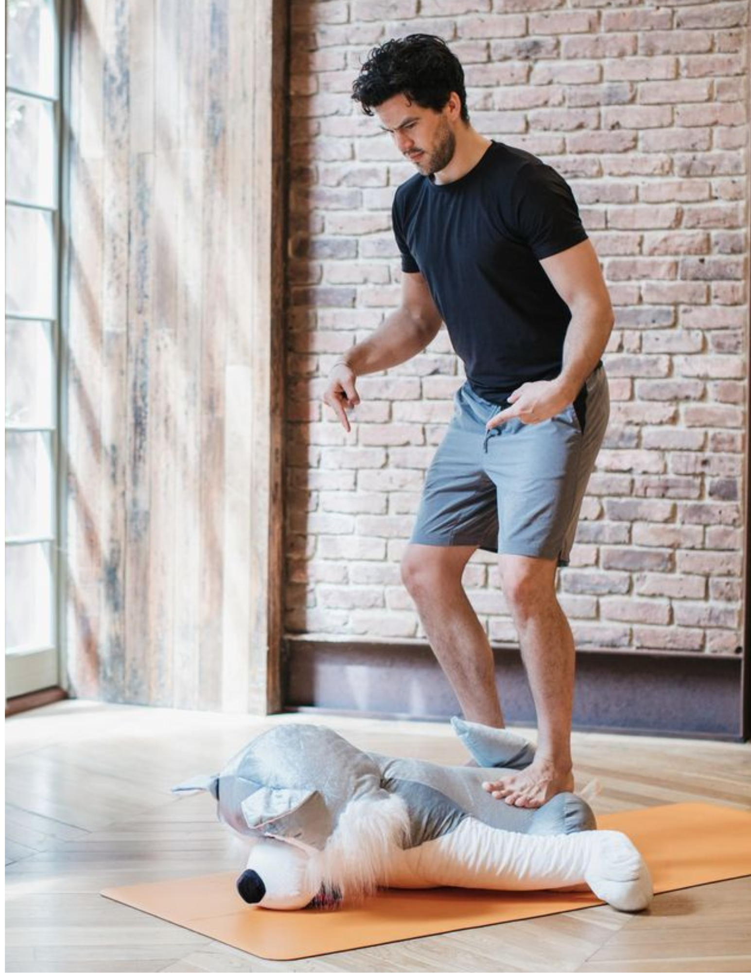 Yoga teacher standing on a stuffed animal demonstrating a physical adjustment gone wrong