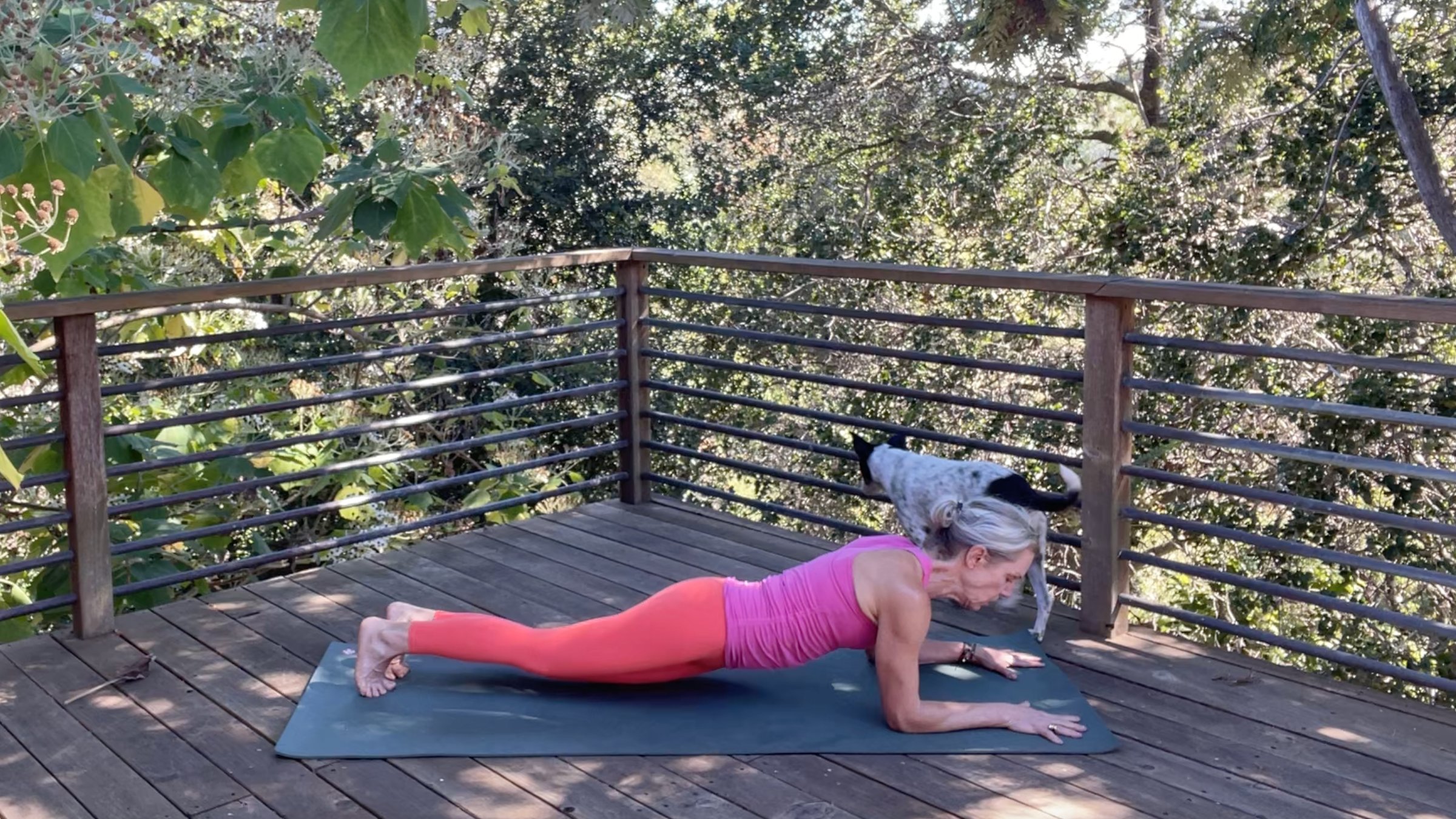 Andrea Marcum practicing Forearm Chaturanga
