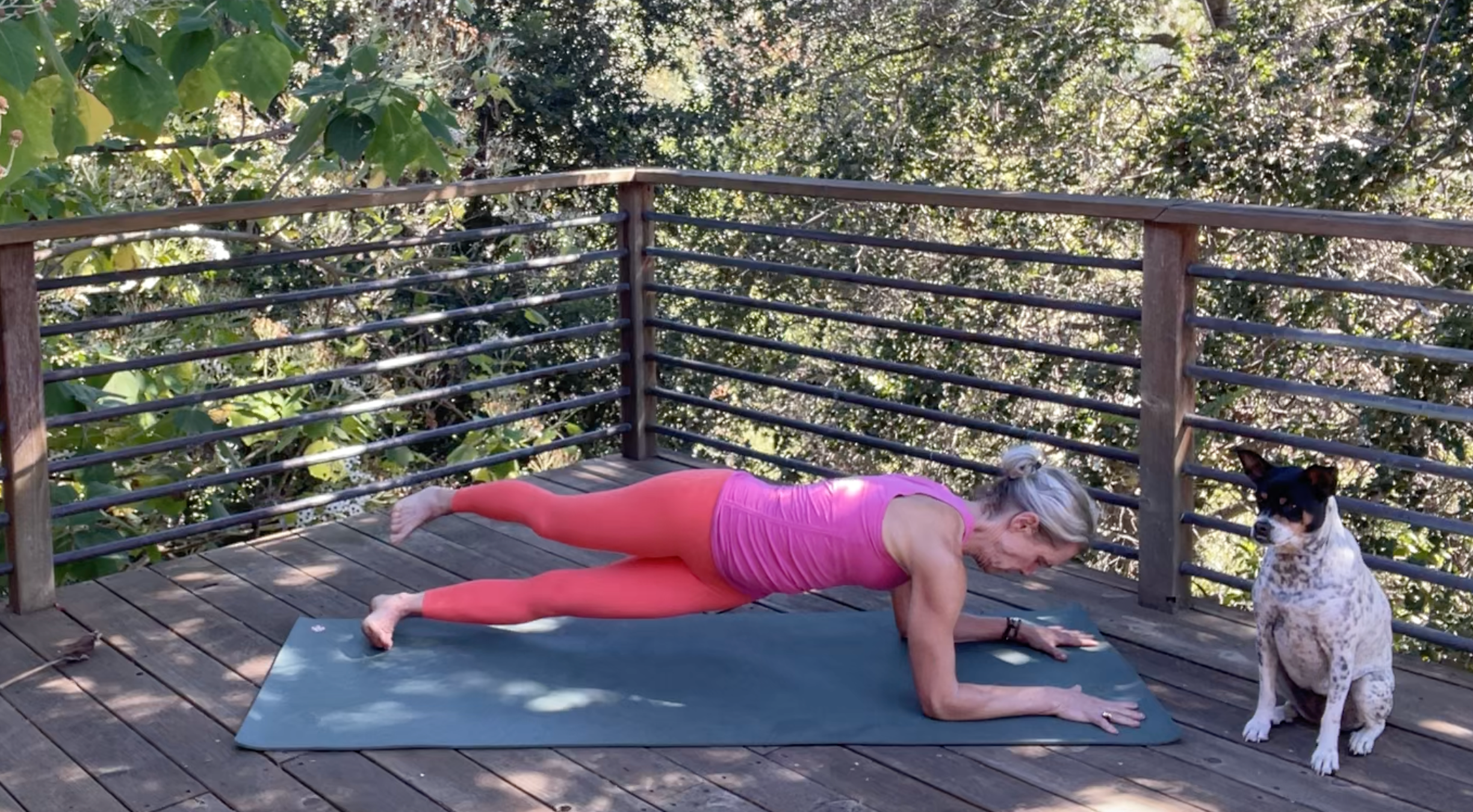 Andrea Marcum practicing Forearm Plank Dip