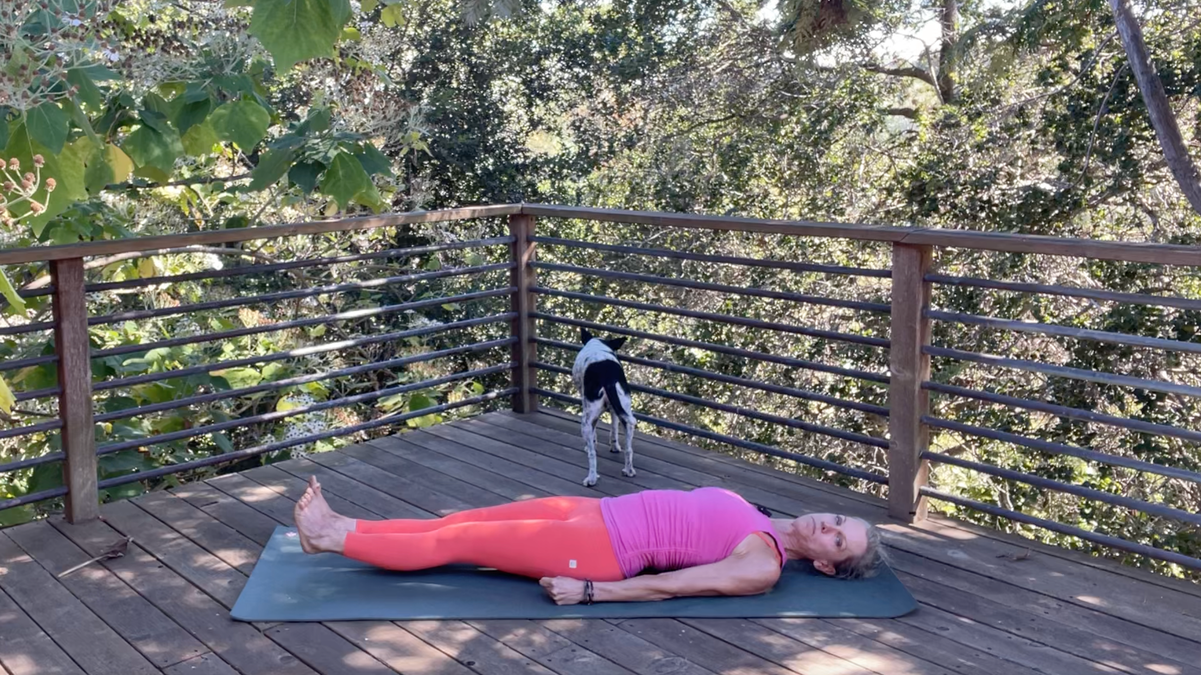 Andrea Marcum practicing Leg Hover