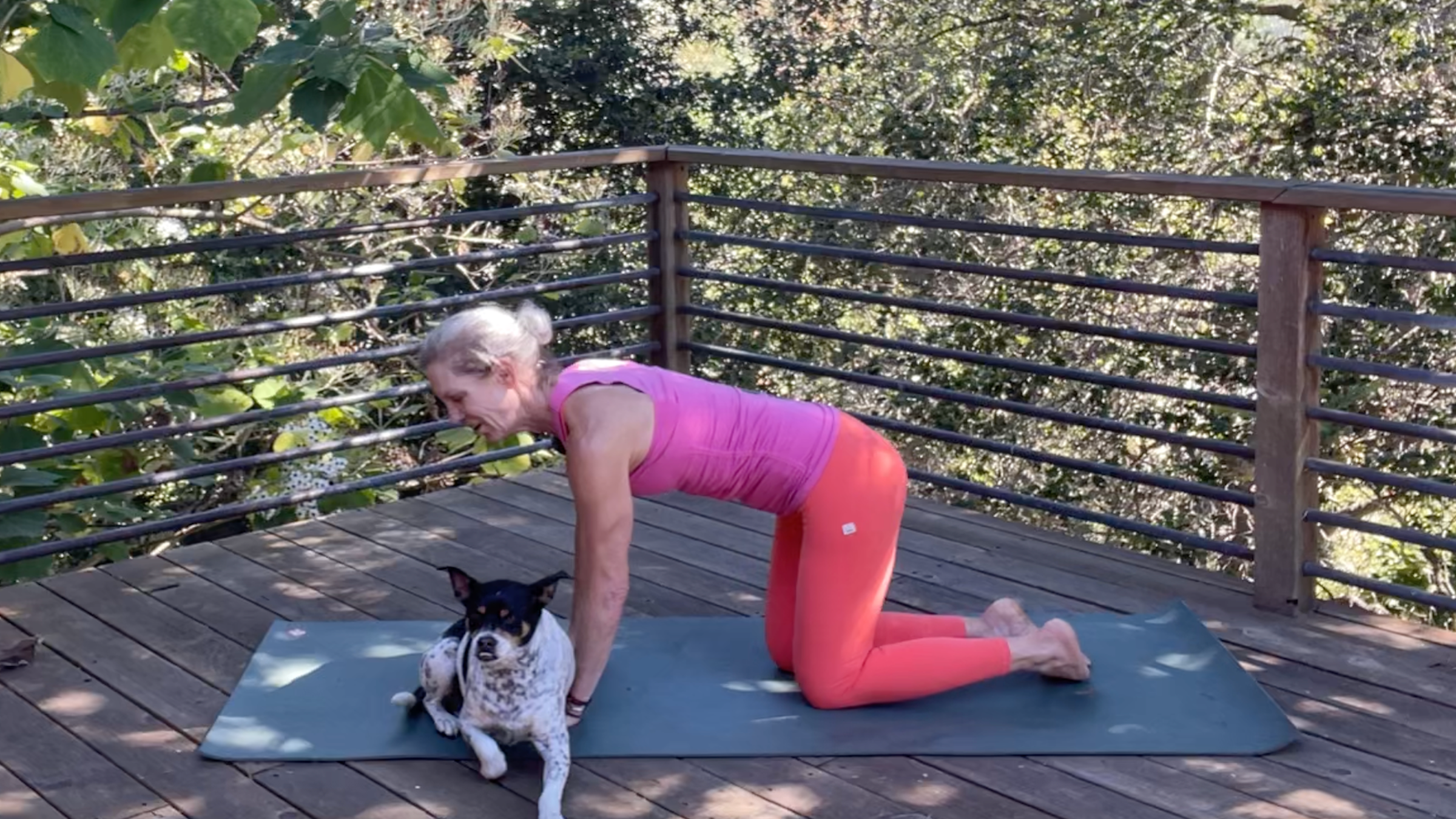 Andrea Marcum practicing Tabletop in her yoga for strength routine